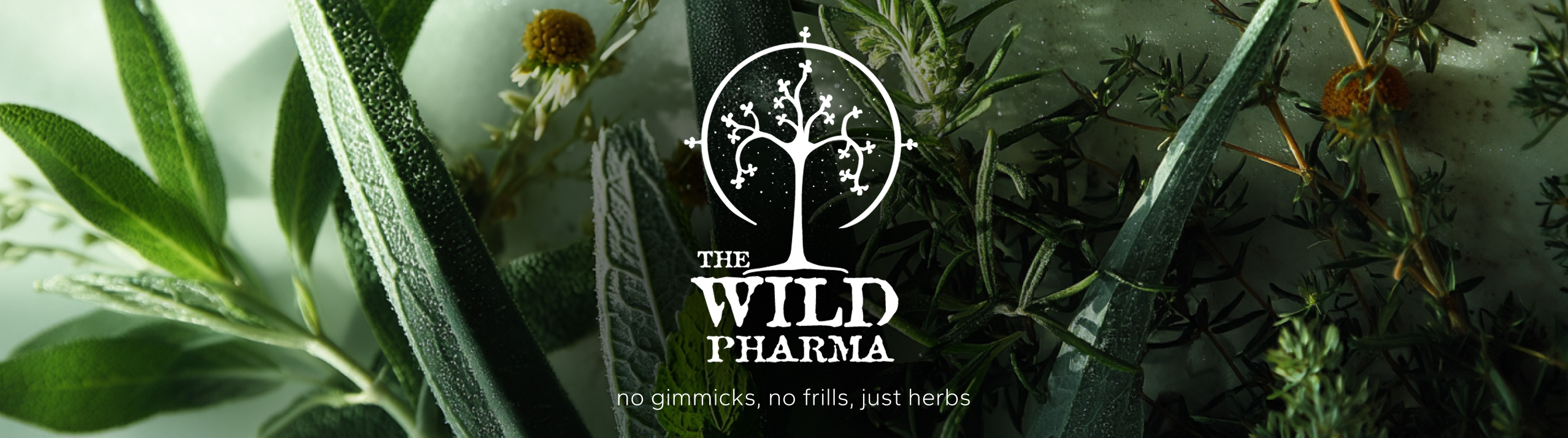 The Wild Pharma Header